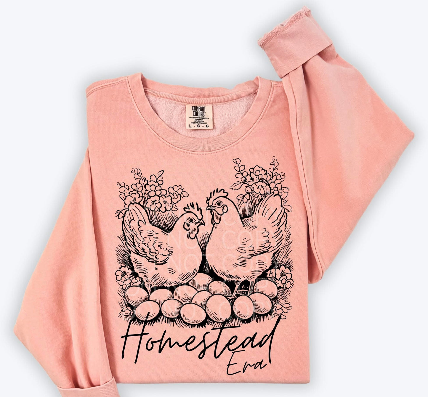 Homestead Era tee/sweatshirt