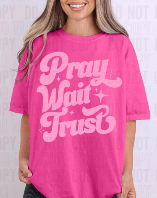 Pray Trust Wait Tee/Sweatshirt