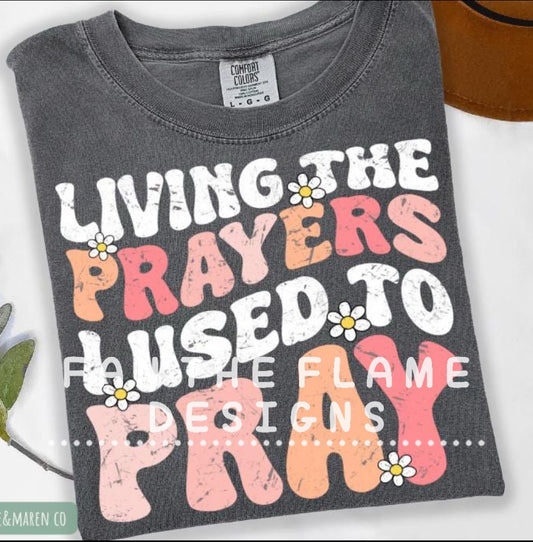 Living the prayers I used to pray Tee/Sweatshirt
