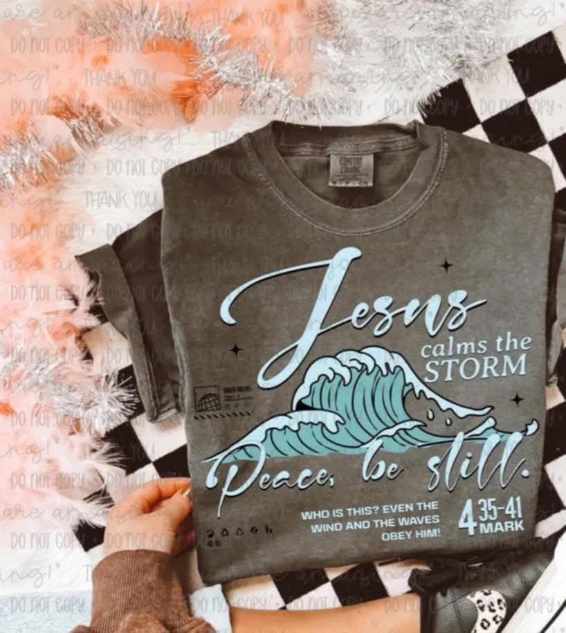 Jesus calms the storm tee/tank