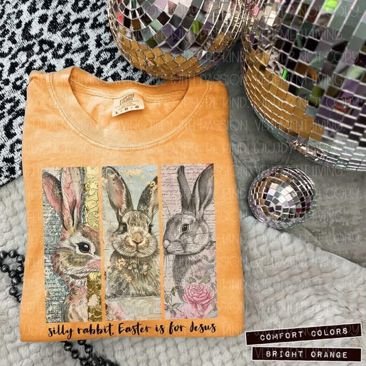 Silly Rabbit tee/sweatshirt