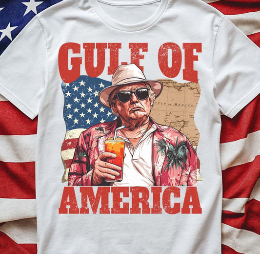 Gulf of America tee/sweatshirt