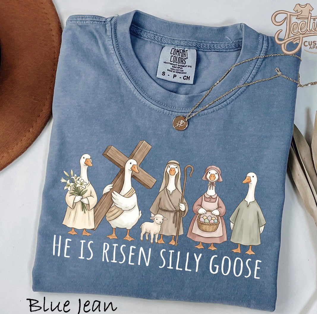 He is Risen Silly Goose Short/Long/Sweatshirt