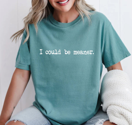 I could be meaner Tee/Sweatshirt