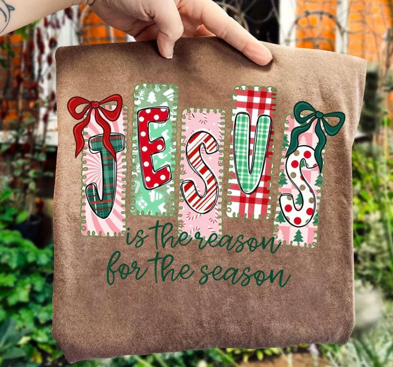 Jesus is the Reason Tee/Sweatshirt