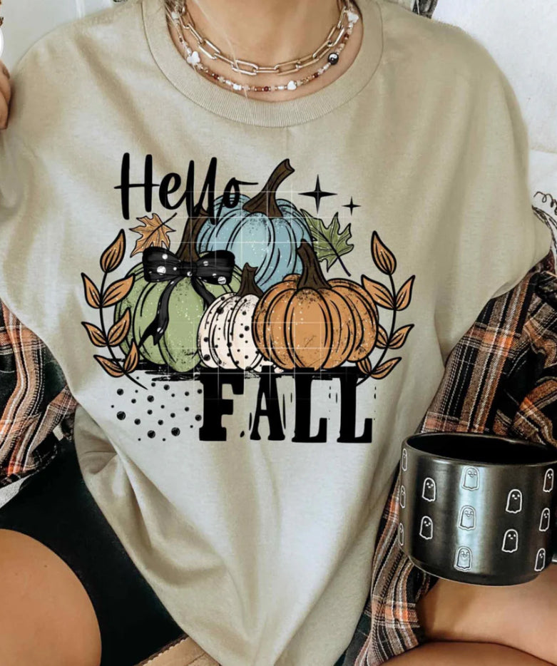 Hello fall pumpkins Tee/Sweatshirt