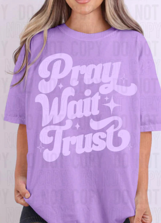 Pray Trust Wait Tee/Sweatshirt