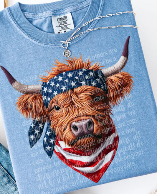 Patriotic highland tee/sweatshirt