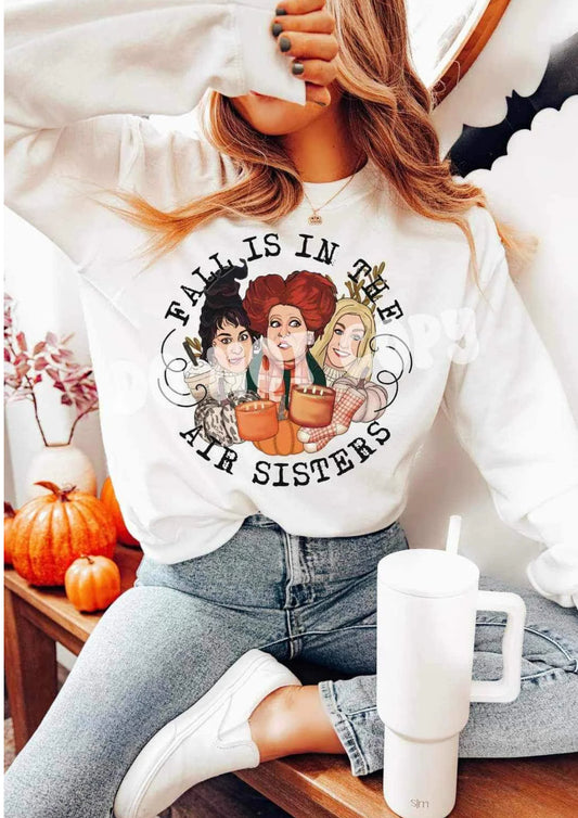 Fall is in the air sisters (witches) tee/sweatshirt