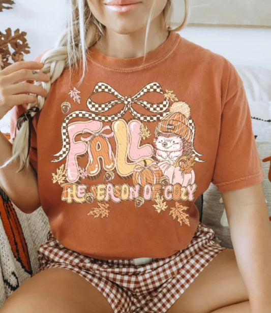Fall the season of cozy bow Tee/Sweatshirt