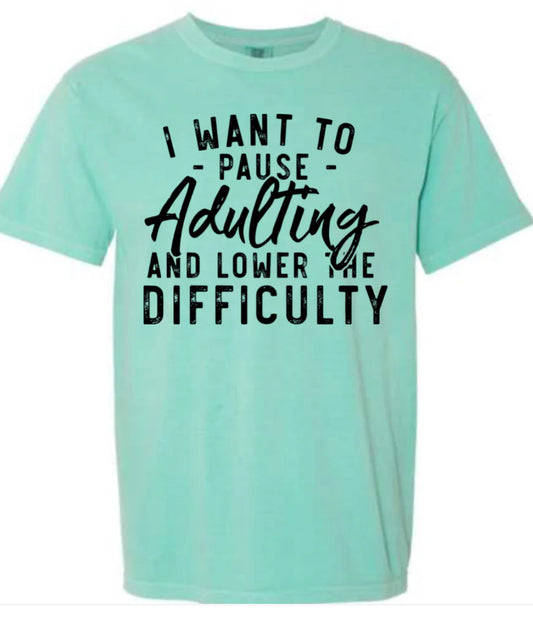 Pause Adulting tee/sweatshirt