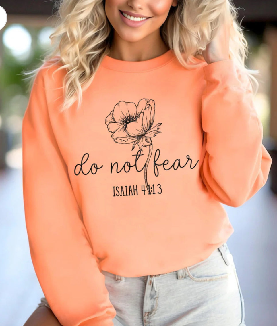 Do not fear tee/sweatshirt