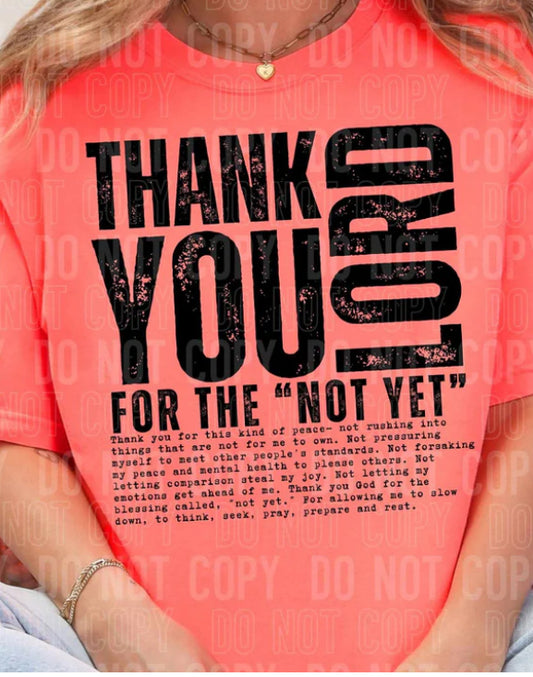 Thank you Lord for the not yet Tee/Sweatshirt
