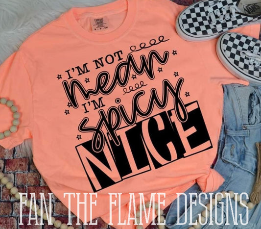 I'm not mean I'm spicy nice tee/sweatshirt