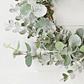 18in Wreath-Snowy Flocked Mixed Eucalyptus Leaves