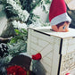 Personalized Elf Arrival Crate